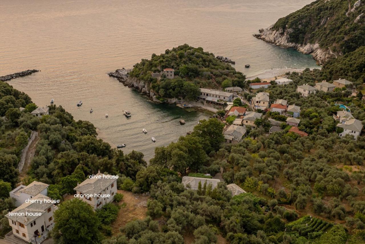Olive House In Damouchari With A Sea View - Delicious Houses Exteriör bild